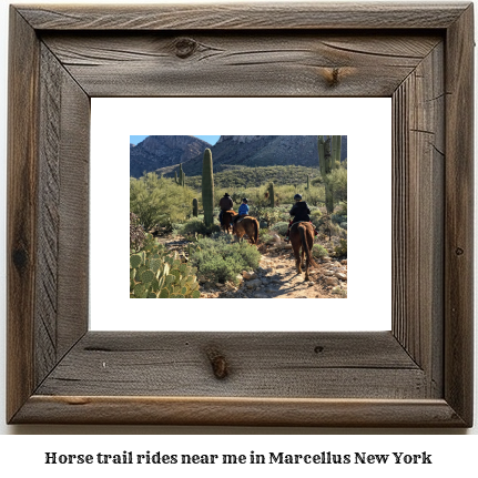 horse trail rides near me in Marcellus, New York